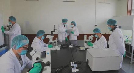 我市打造&ldquo;四種模式&rdquo; 讓農(nóng)業(yè)社會(huì)化服務(wù)為鄉(xiāng)村振興&ldquo;賦能&rdquo;