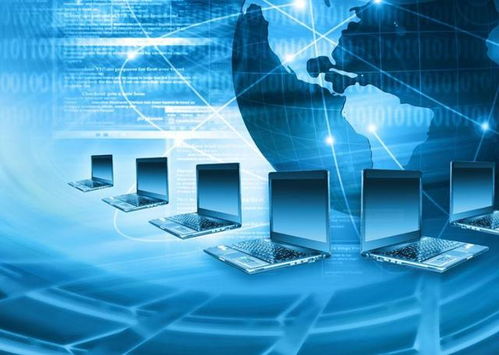 計算機網絡的組成與功能及數(shù)據(jù)處理存儲服務